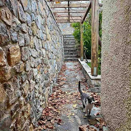 Dom wakacyjny Panorama Traditional *