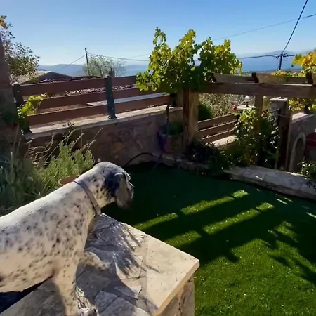 Dom wakacyjny Panorama Traditional