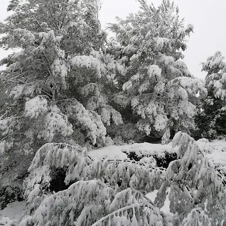 Dom wakacyjny Panorama Traditional