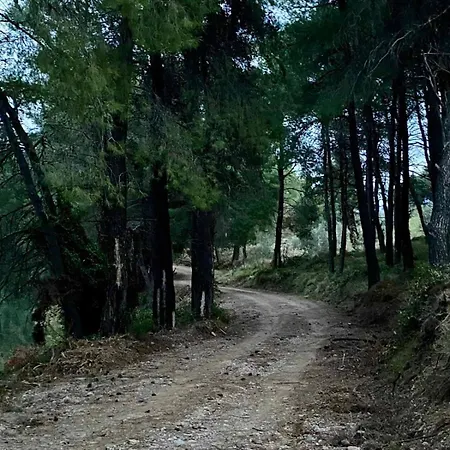 Panorama Village House *