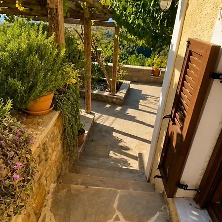 Panorama Village House Ferienhaus *
